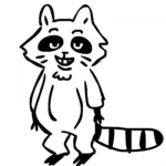 raccoonboy